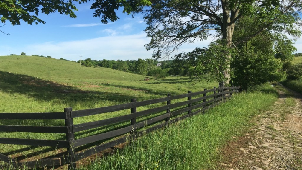 Conyers farm - looking north from center